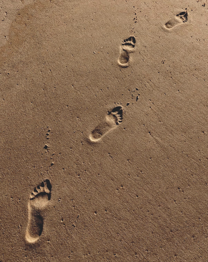 Huellas en el desierto